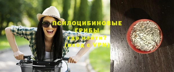 СК Аркадак
